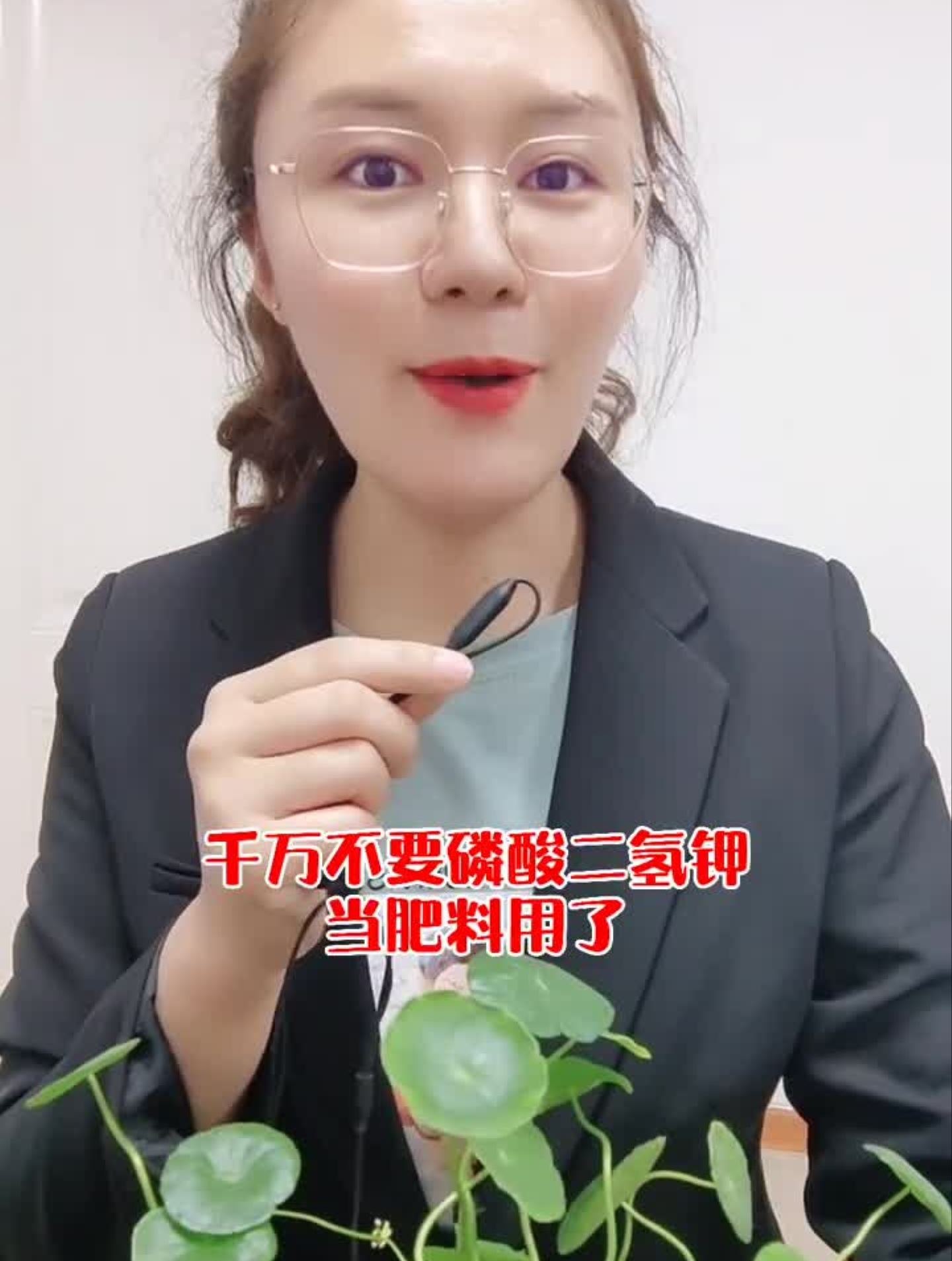 磷酸二氢钾农业蔬菜大棚蔬菜种植农业种植三农
