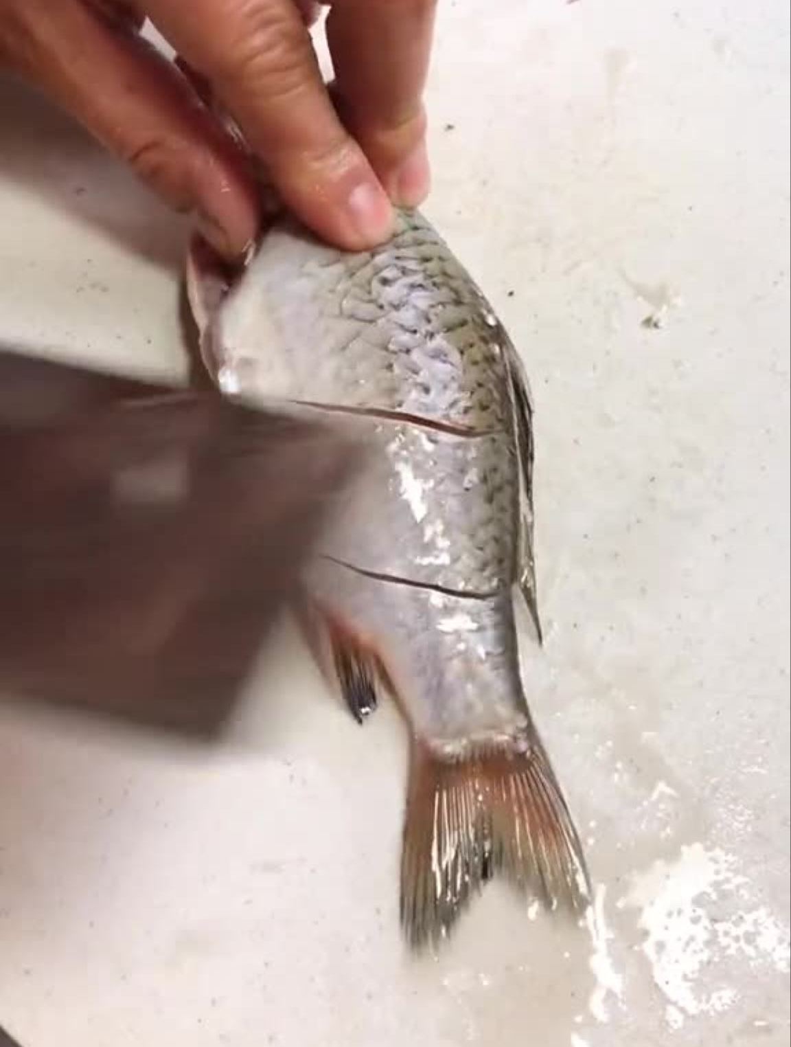 腌鱼腌鱼腌肉在家做美食作品推广