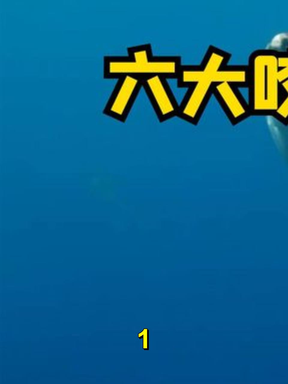 「世界最强咬合力鲨鱼!噬人鲨令人闻风丧胆」1