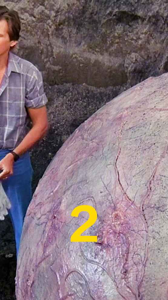 陨石辐射,母亲变异竟要杀死亲生儿子,幸亏男孩机敏才躲过一劫