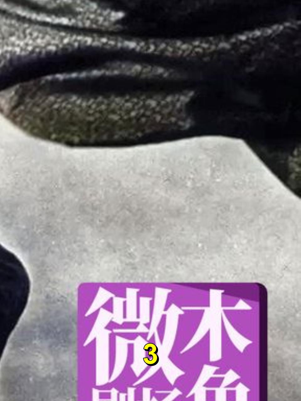 「木鱼微剧场」豆瓣9.3,超过黑泽明的不朽神作