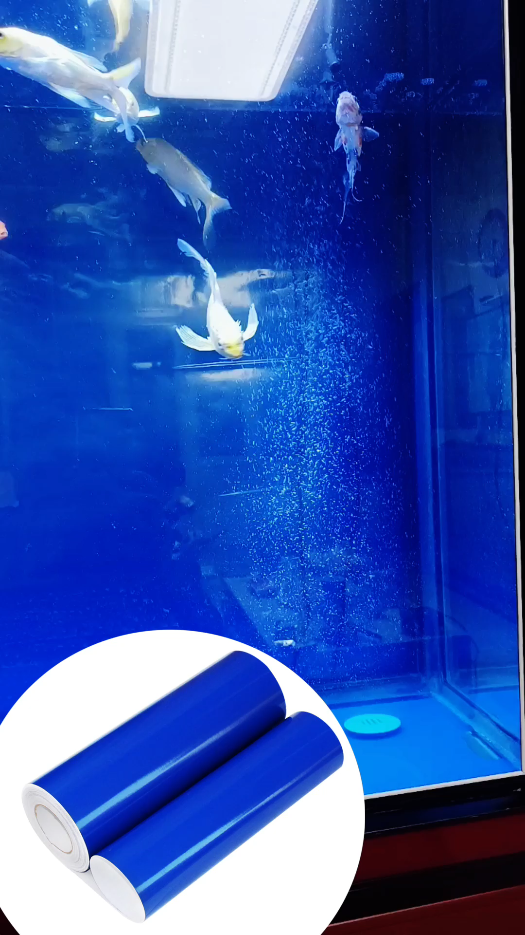 鱼缸背景纸一贴,造景水平立马提升一个档次!玩出更多可能性 鱼