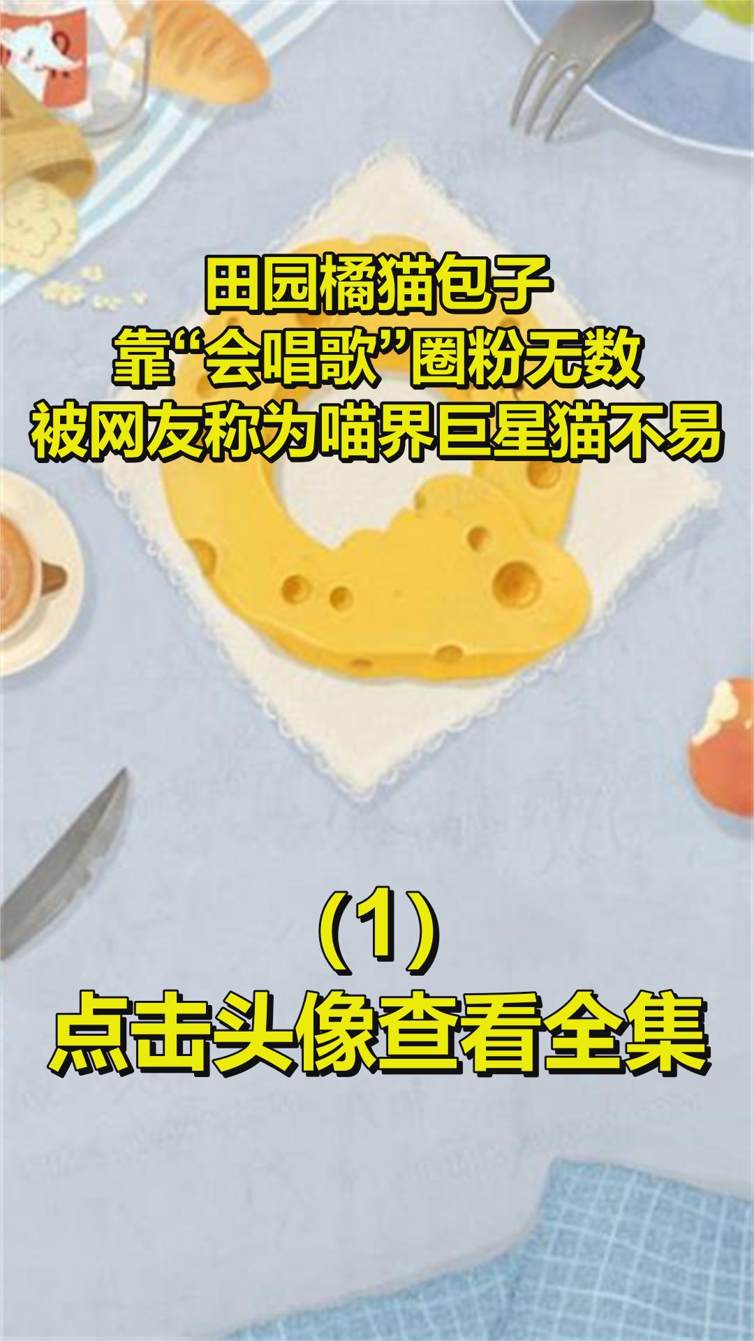 田园橘猫包子,靠“会唱歌”圈粉无数