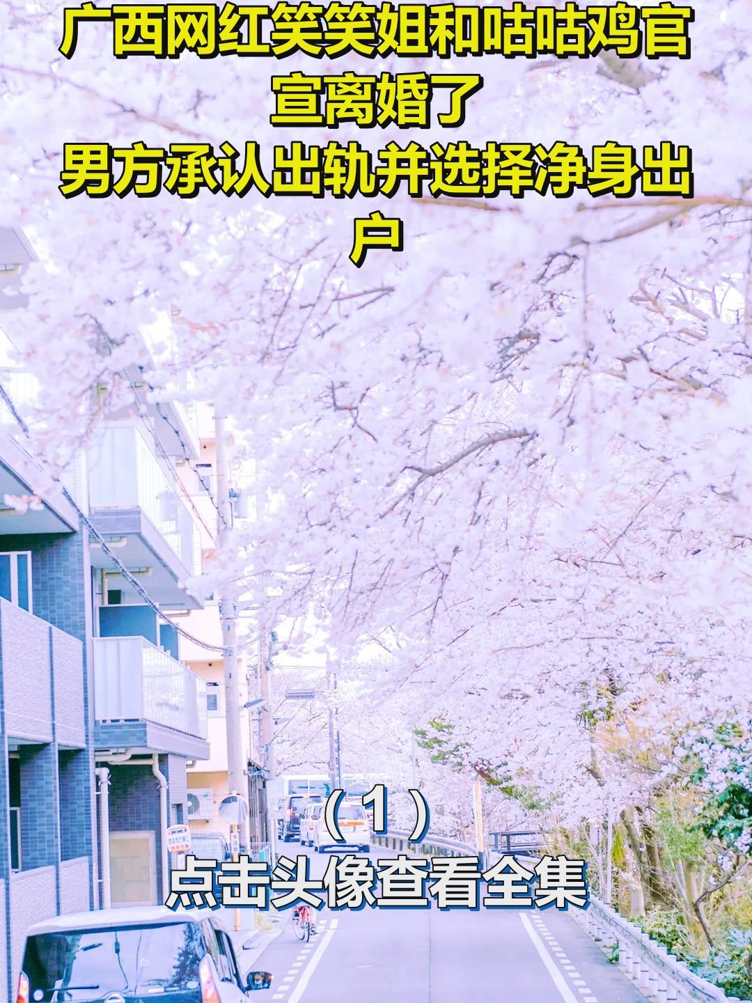广西网红笑笑姐和咕咕鸡官宣离婚了