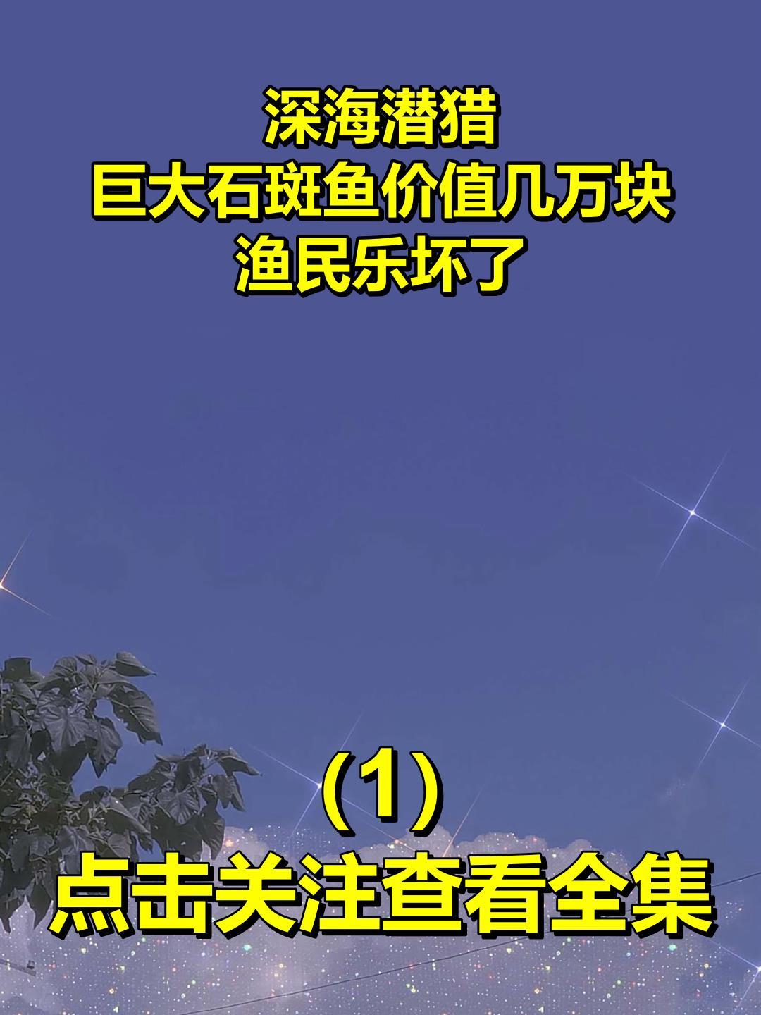 深海潜猎,巨大石斑鱼价值几万块,渔民乐坏了1