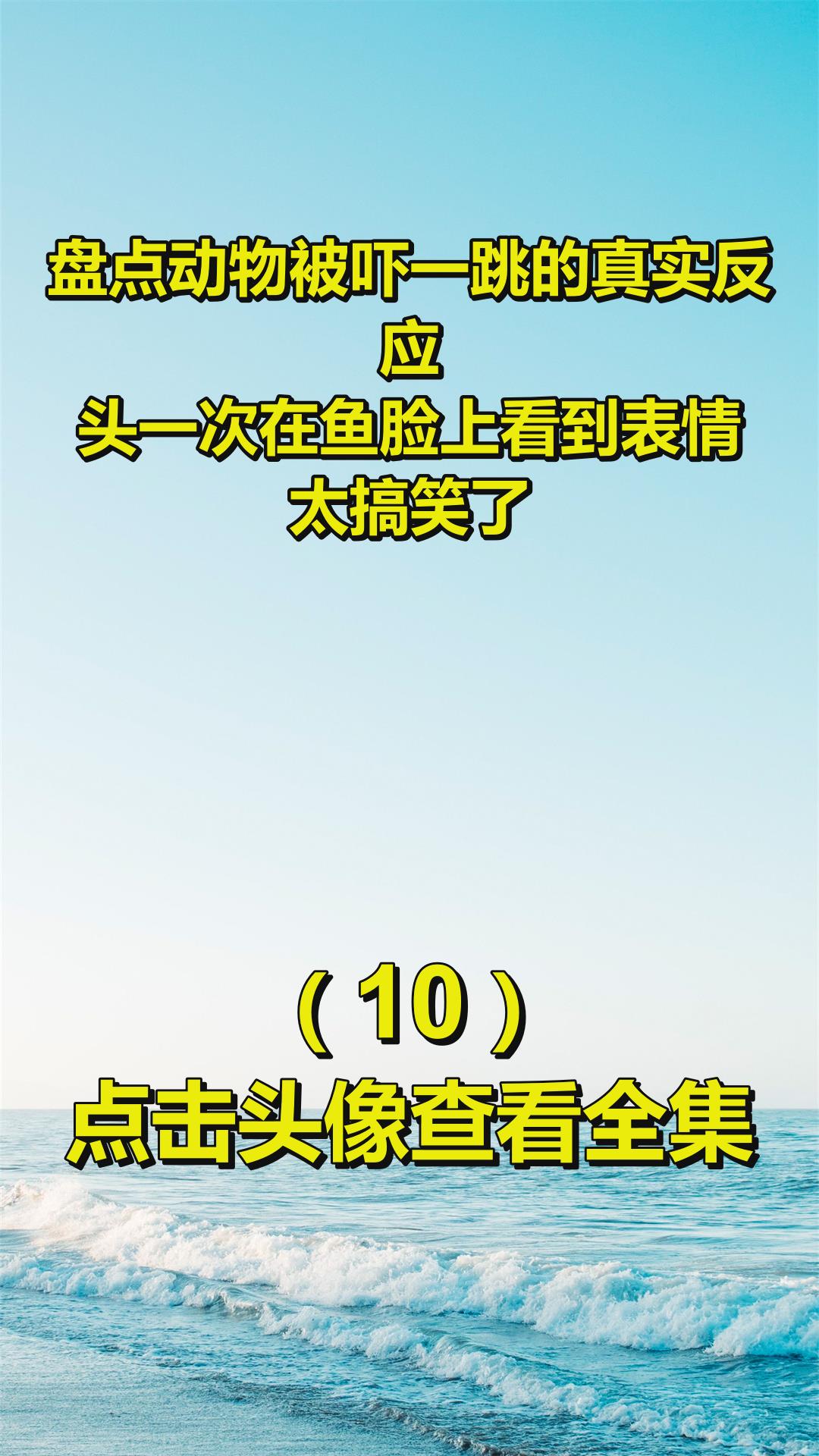 盘点动物被吓一跳的真实反应,头一次在鱼脸上看到表情