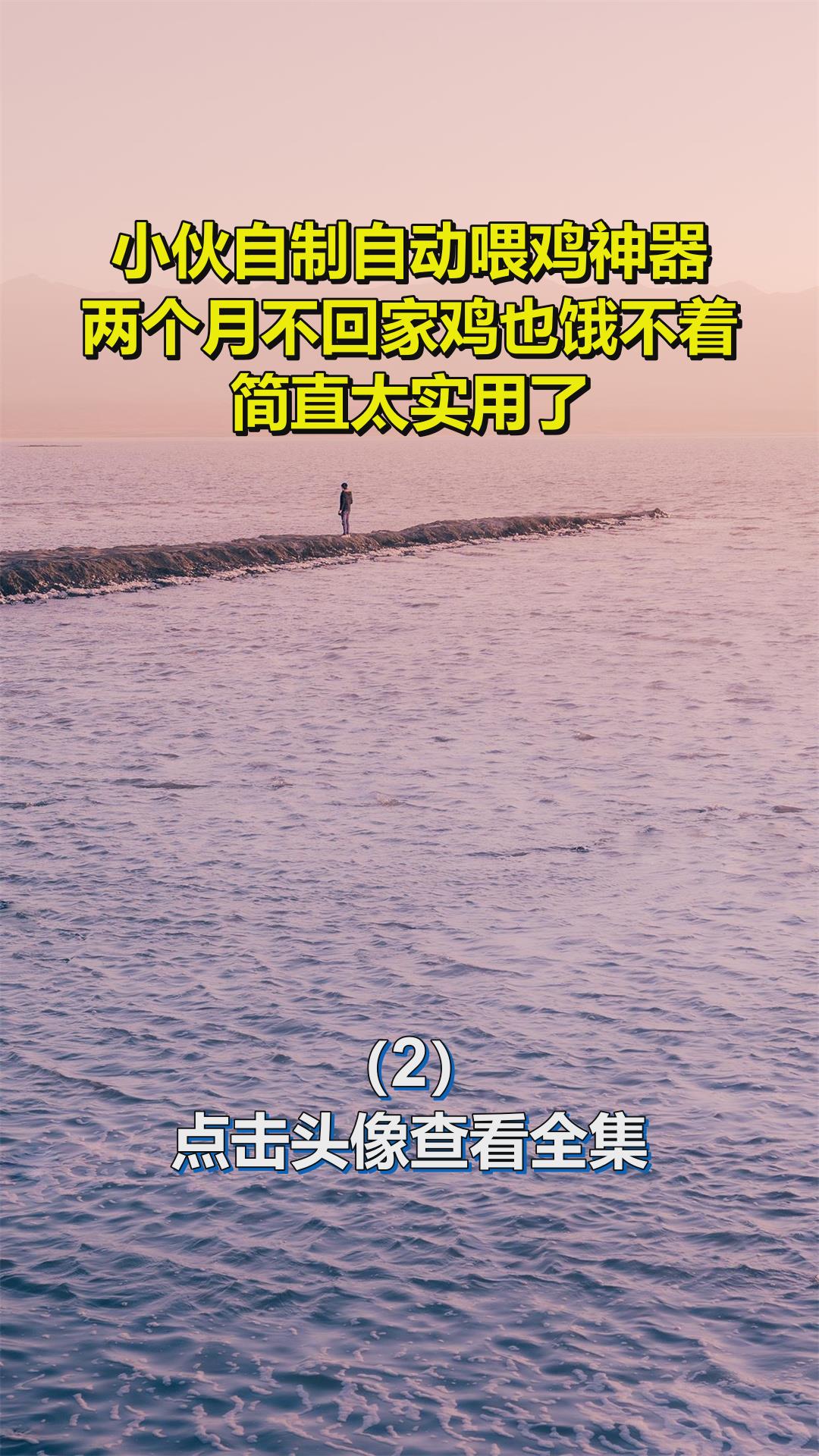 小伙自制自动喂鸡神器,两个月不回家鸡也饿不着,简直太实用了2