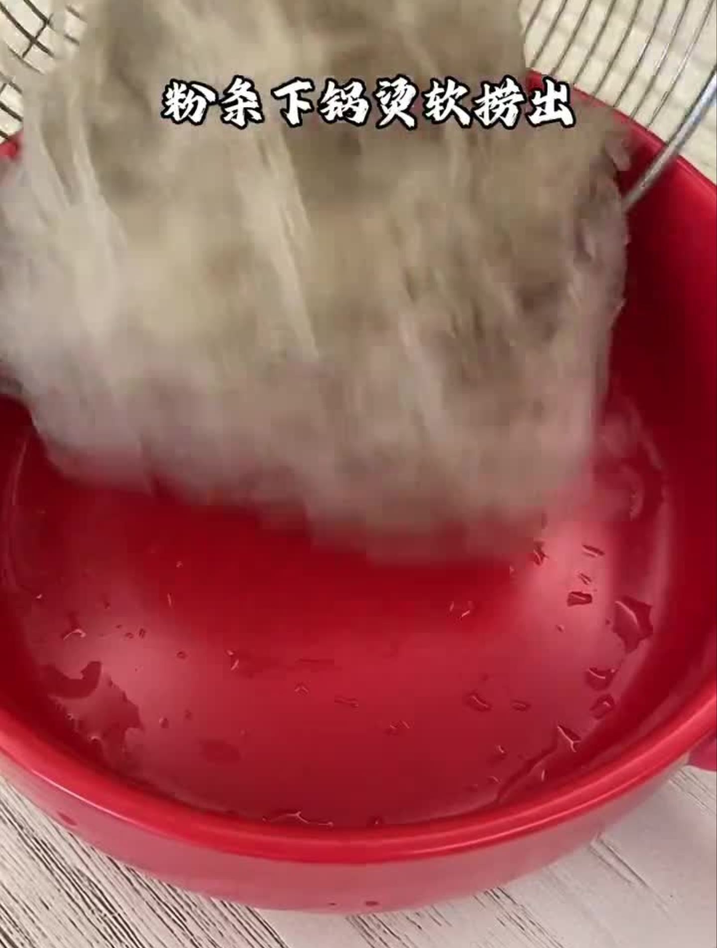 韭菜鸡蛋炒粉条,这做法简单又好吃
