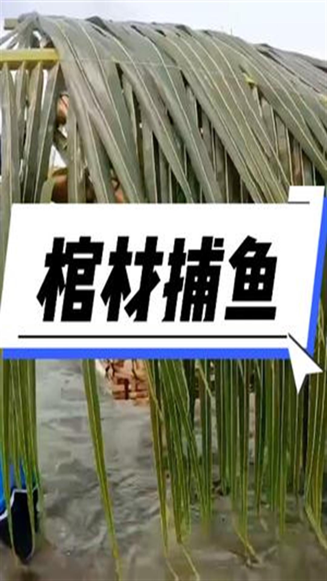 兄弟俩往海底放了一口“棺材”,收获了十几斤石斑鱼,赚大了2