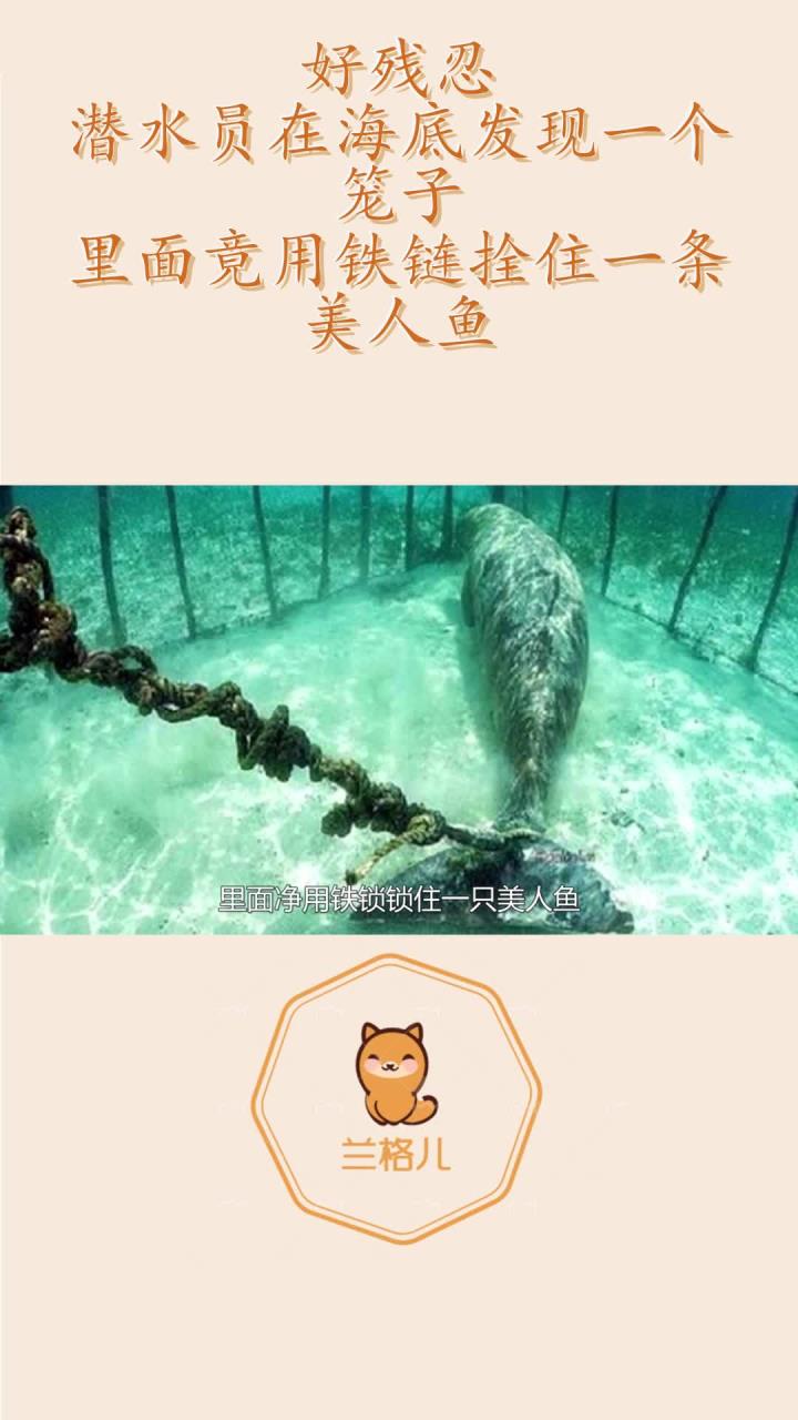 好残忍!潜水员在海底发现一个笼子,里面竟用铁链拴住一条美人鱼