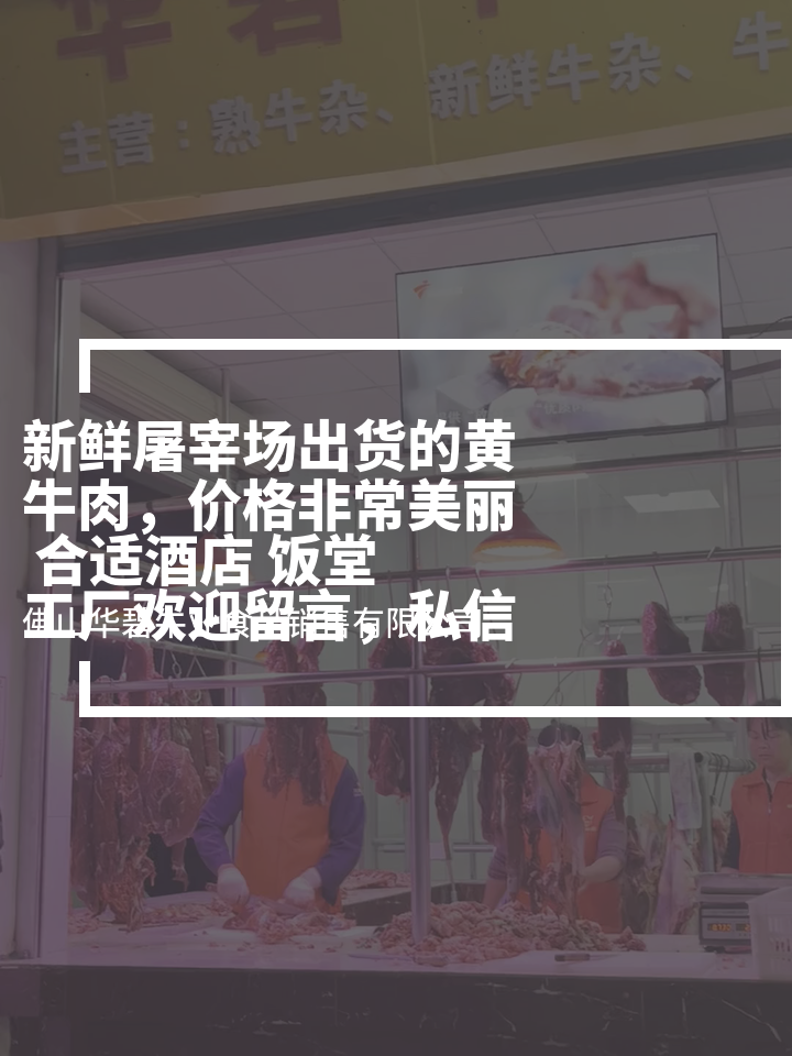 新鲜屠宰场出货的黄牛肉,价格非常美丽合适酒店饭堂工厂欢迎留言