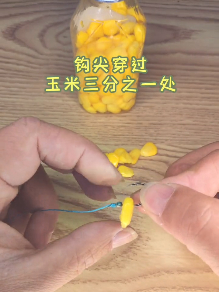 钓草鱼翘嘴挂玉米的正确方式