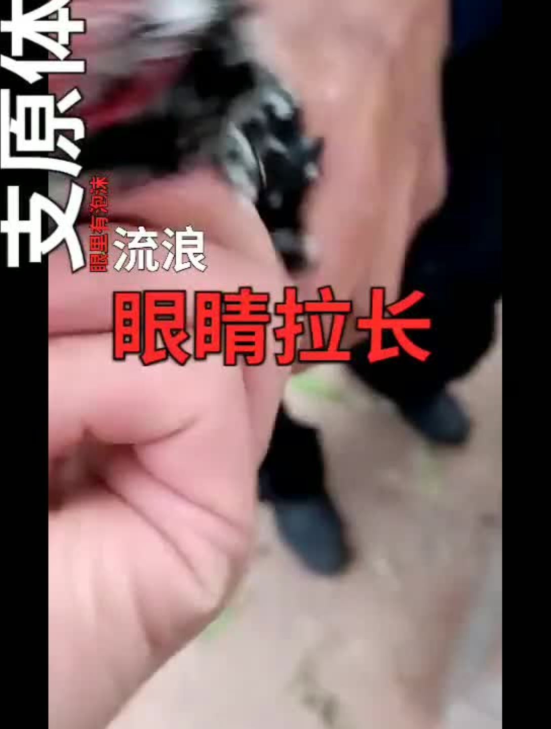 引起鸡眼睛问题的病有哪些?