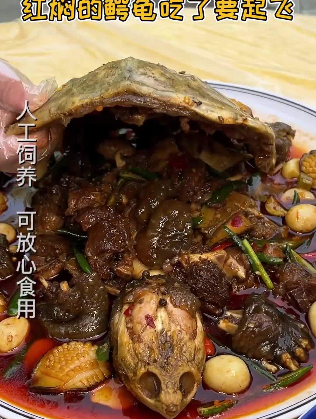 鳄鱼龟这种人间美味,只有吃过了才晓得!