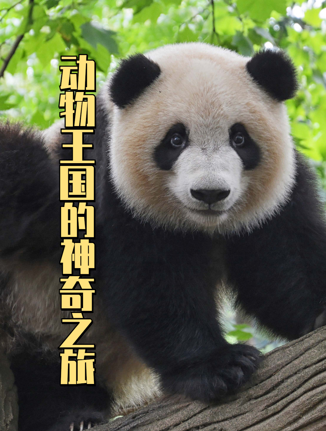 鱼从泥巴里钻出来,小伙非常兴奋,这下发财了!