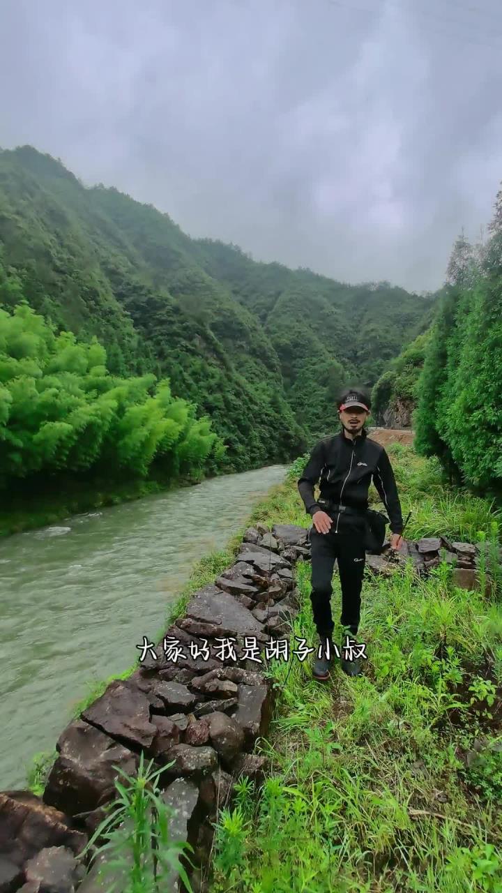 游钓山谷溪流,探寻原生鱼种!