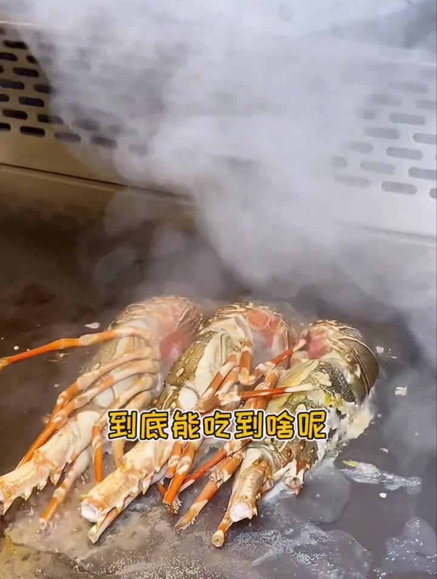 花不到三百块吃一顿高档日式铁板烧,龙虾鹅肝刺身全都有