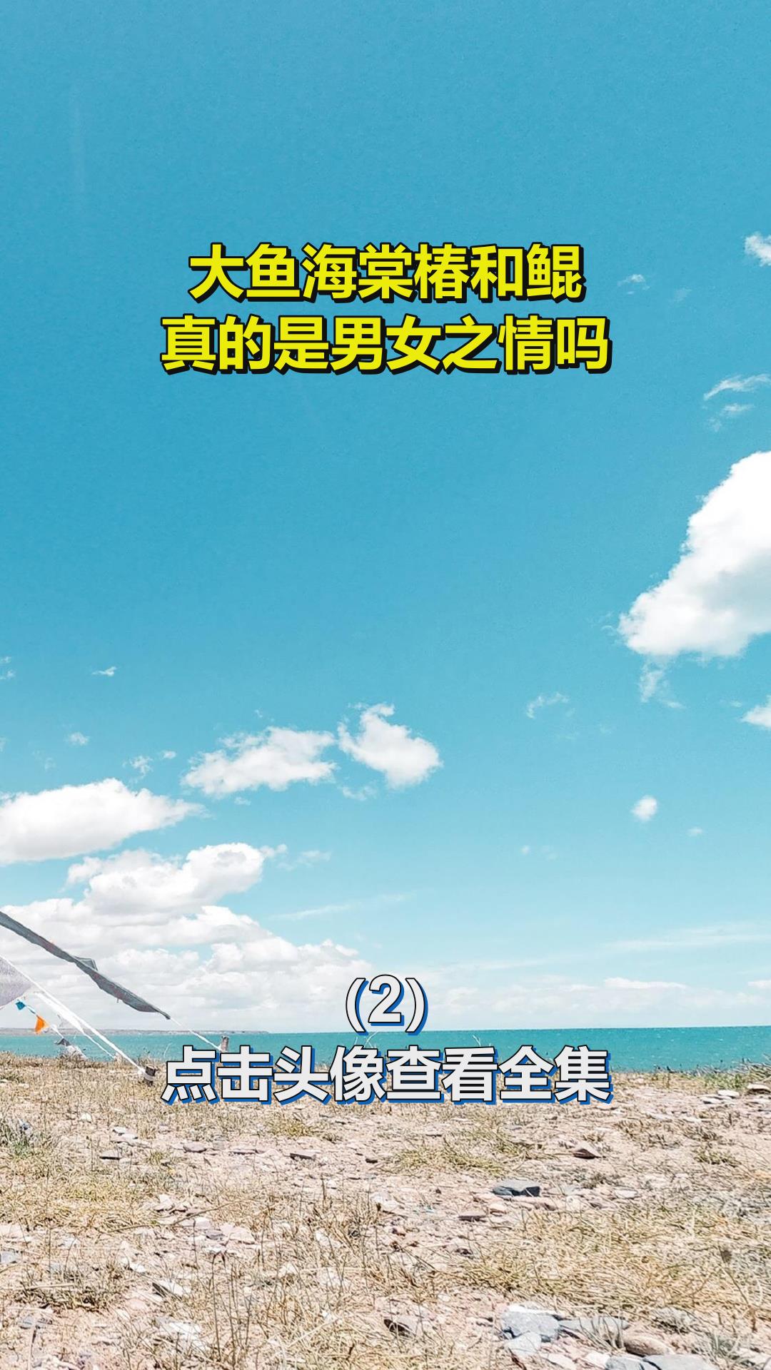 大鱼海棠椿和鲲,真的是男女之情吗?2