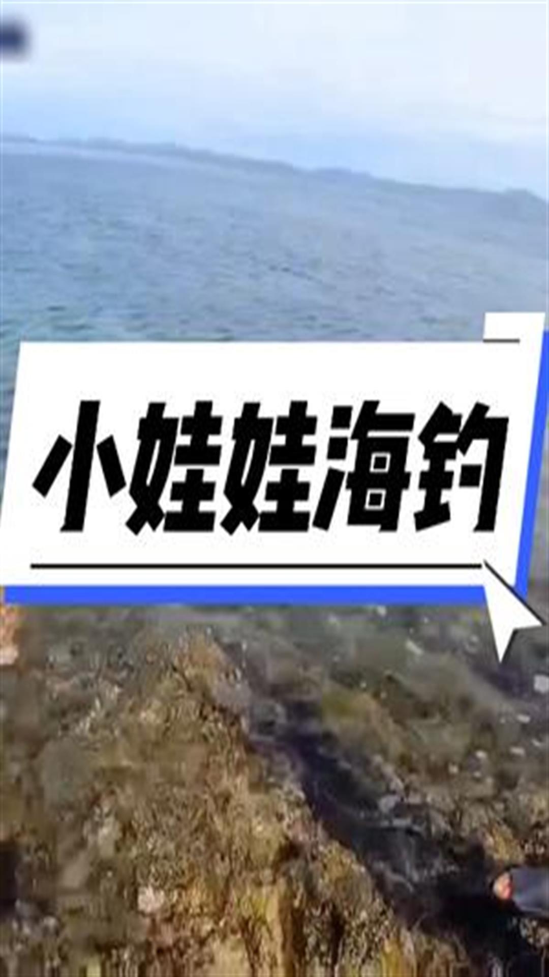 小娃娃海钓石斑,一条比一条大,半天钓了上万鱼获4