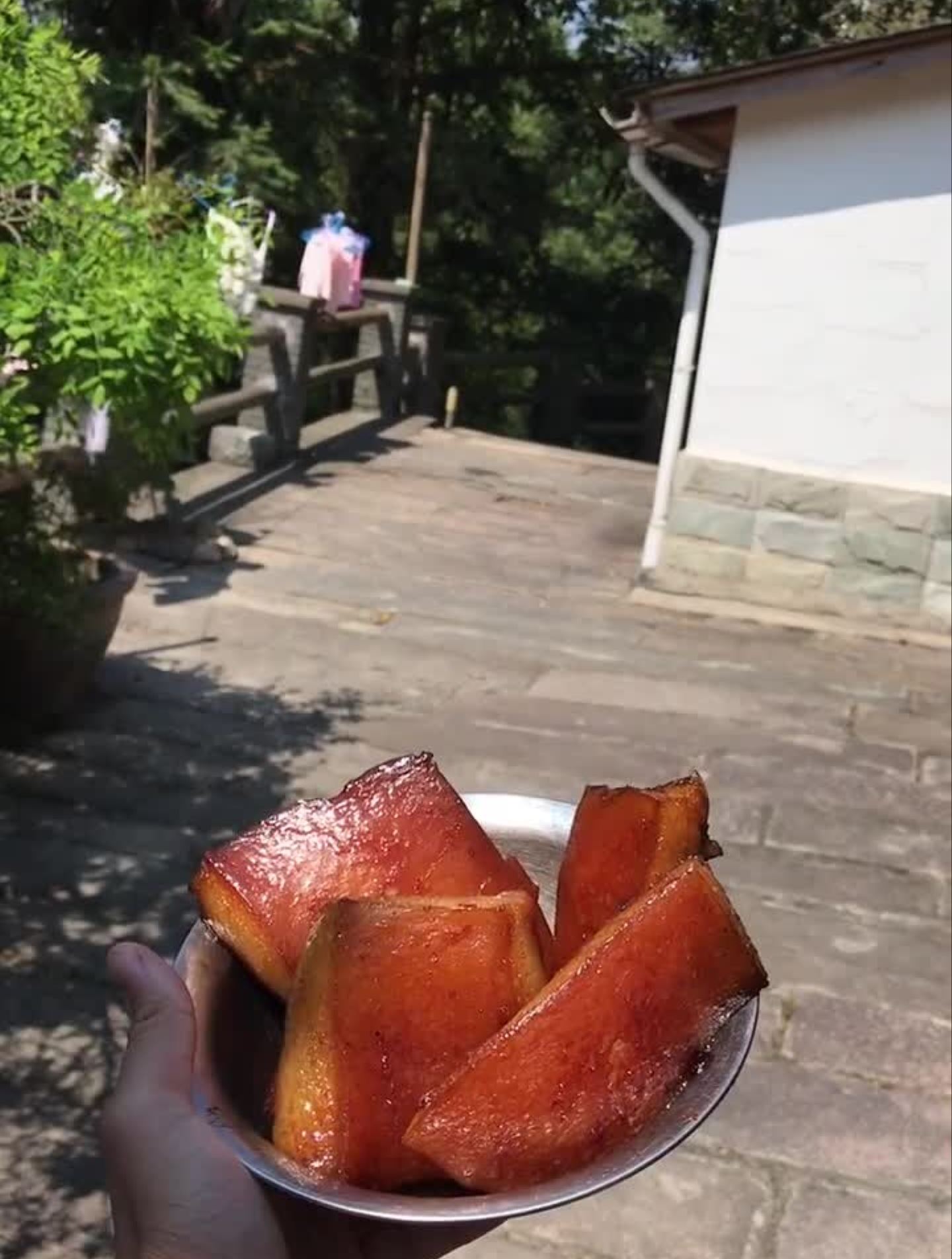 黑豹的午餐,超大块红烧肉肉肉!泉州