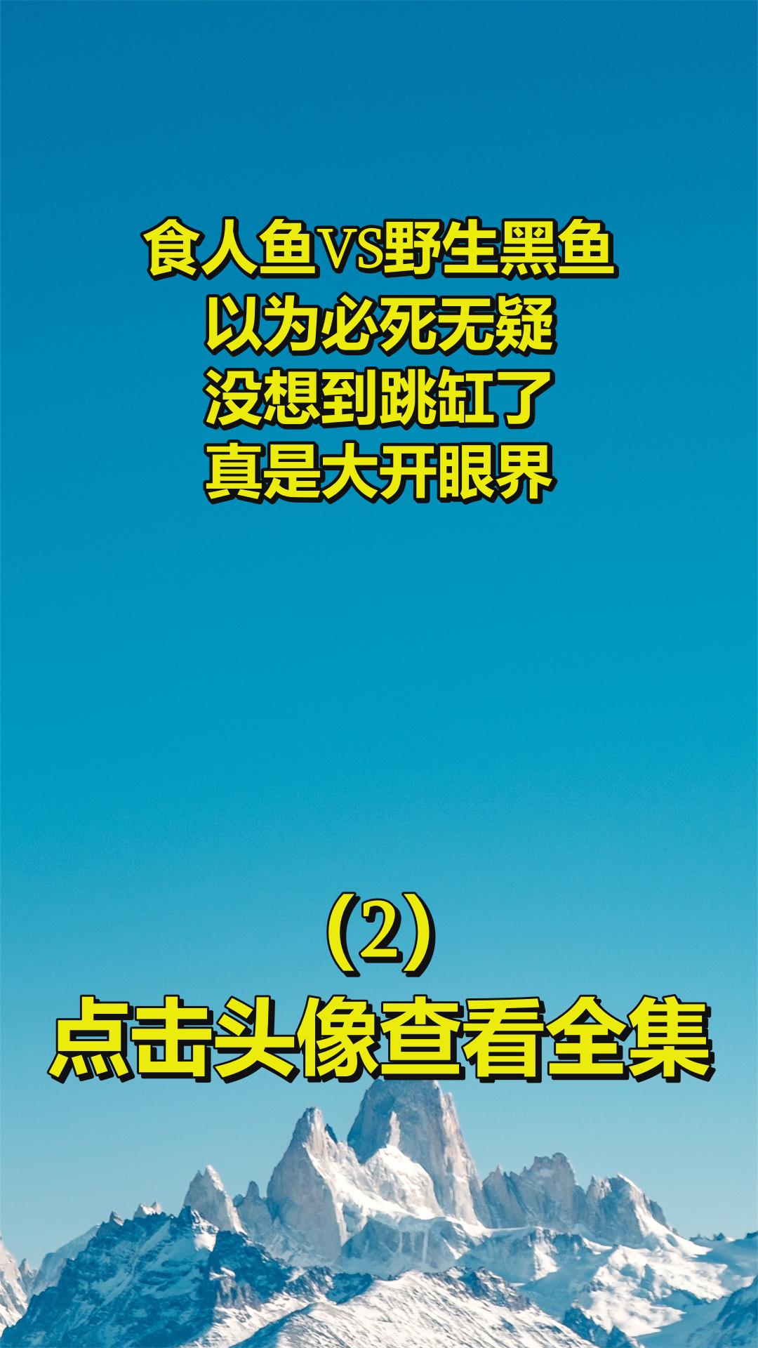 食人鱼VS野生黑鱼,以为必死无疑,没想到跳缸了,真是大开眼界