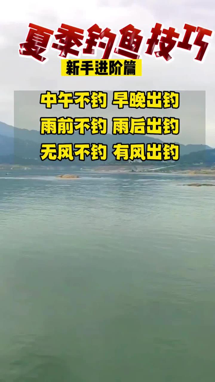 夏季钓鱼技巧