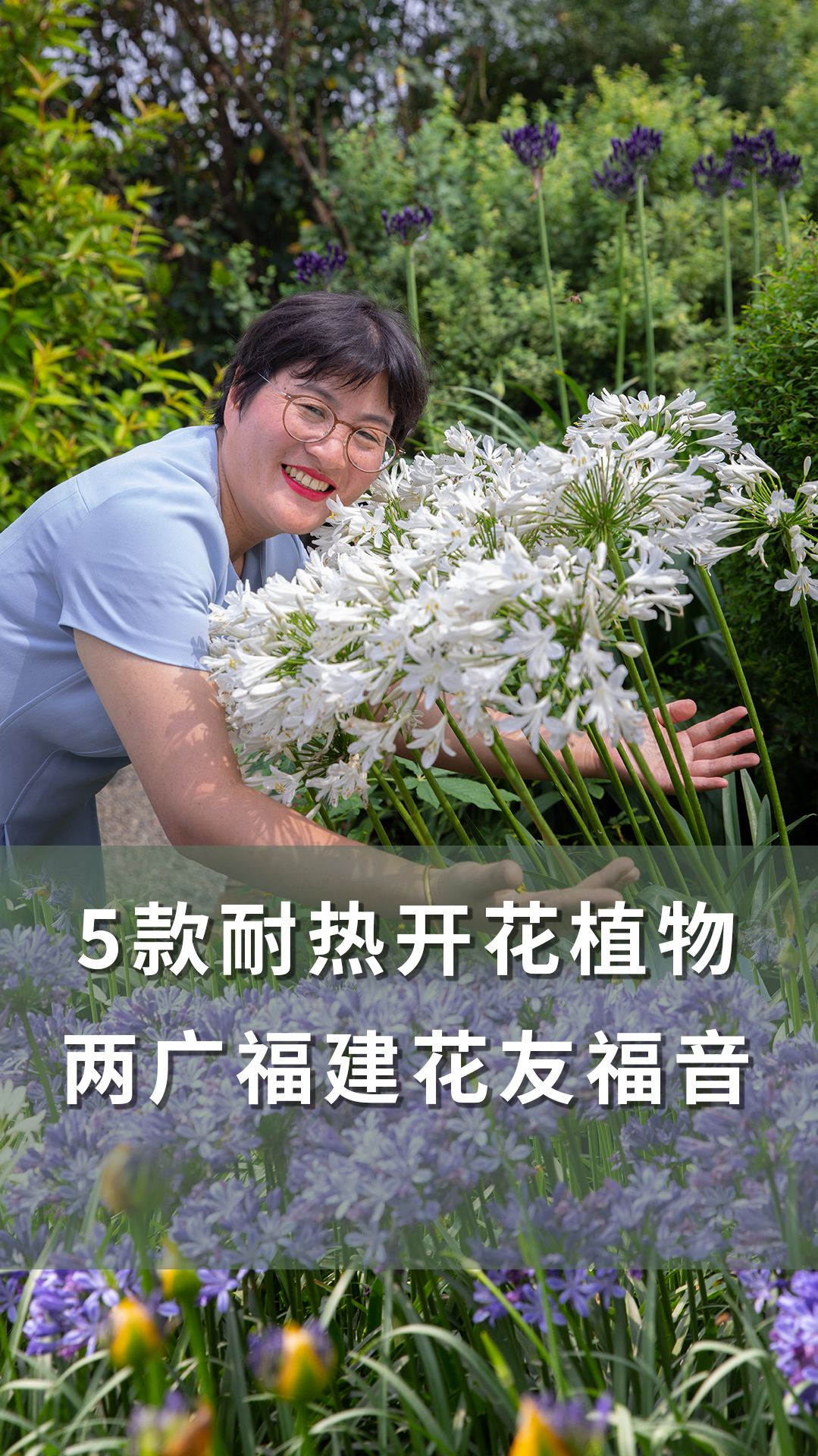 5款耐热开花植物,两广福建花友福音「海妈植物推荐」
