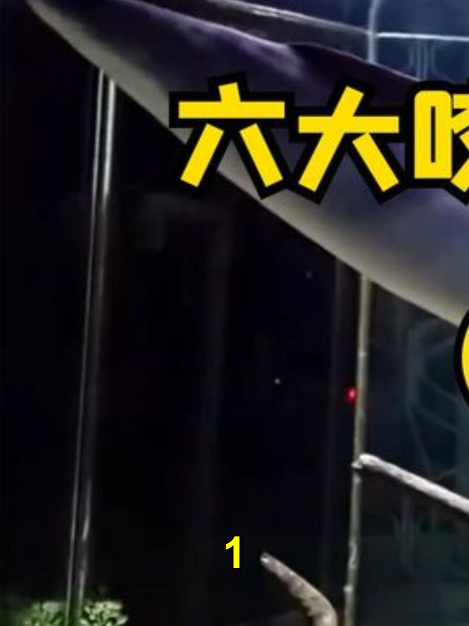 六大咬合力大的鱼类,反天刀鱼1