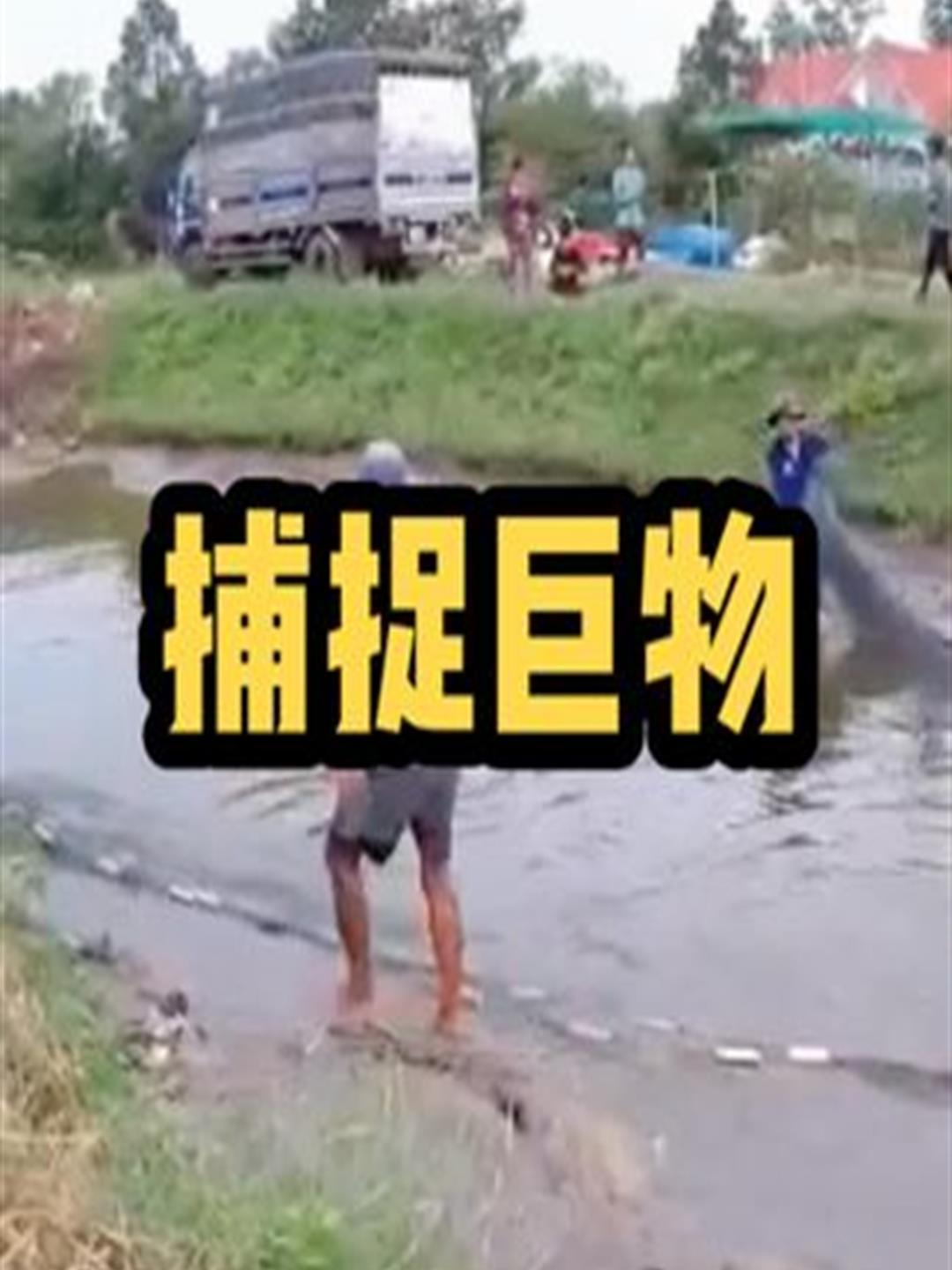 鱼塘有凶猛的大鱼,在水中能轻易击伤成年人,拿来大网捕捞4