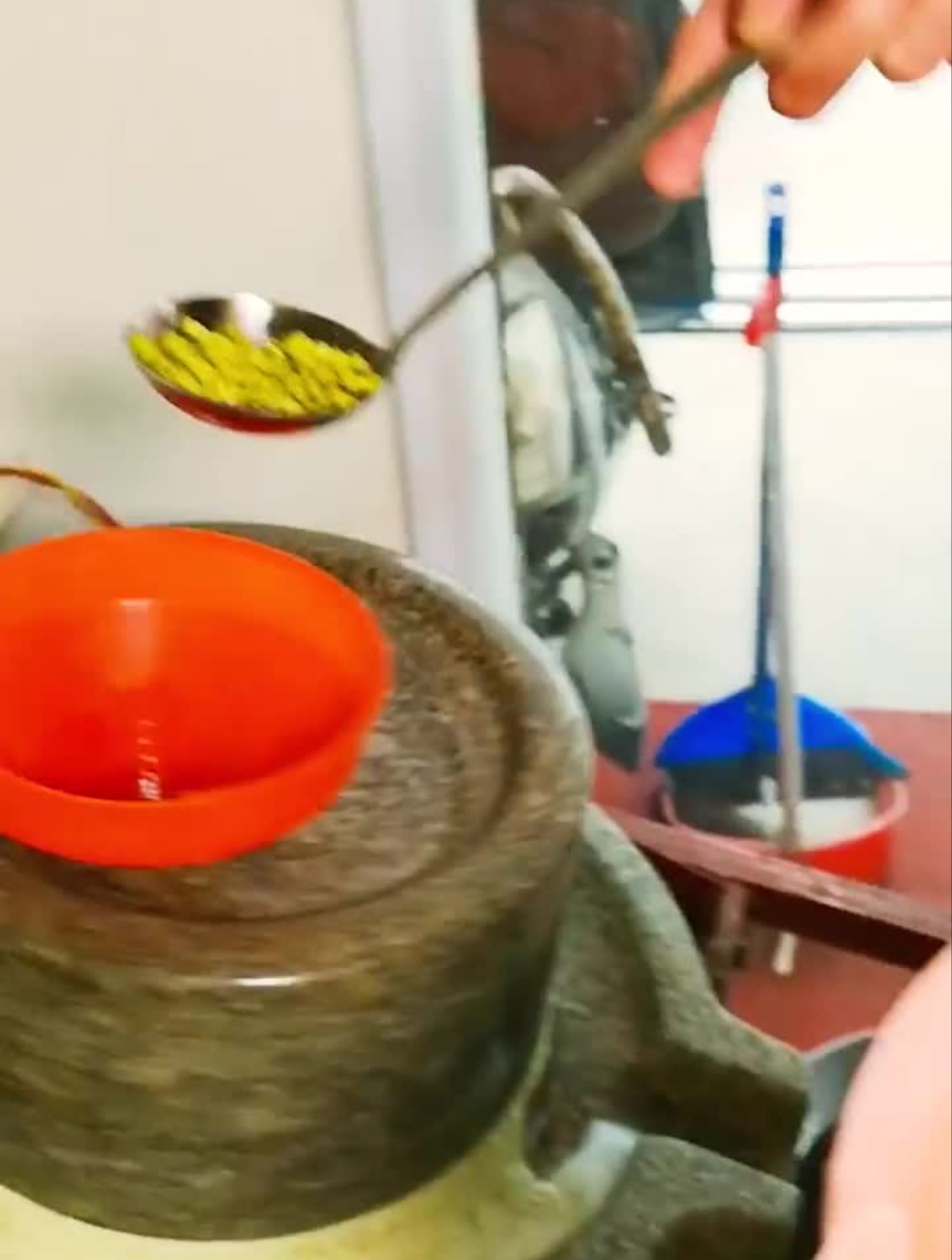 美食天津特色绿豆石磨煎饼,你吃过吗?吃过无锡