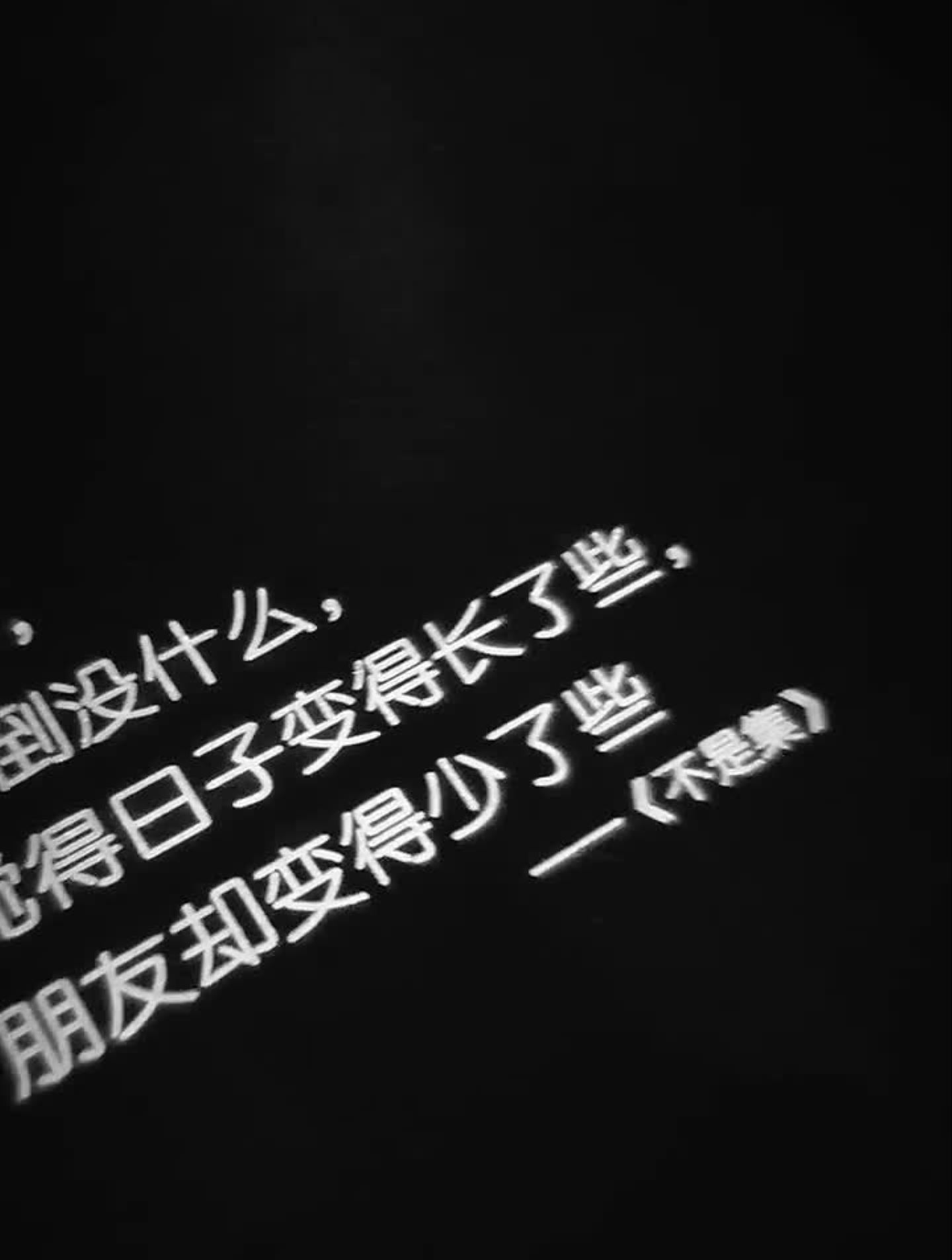 今天胡桃里的夜生活,美食