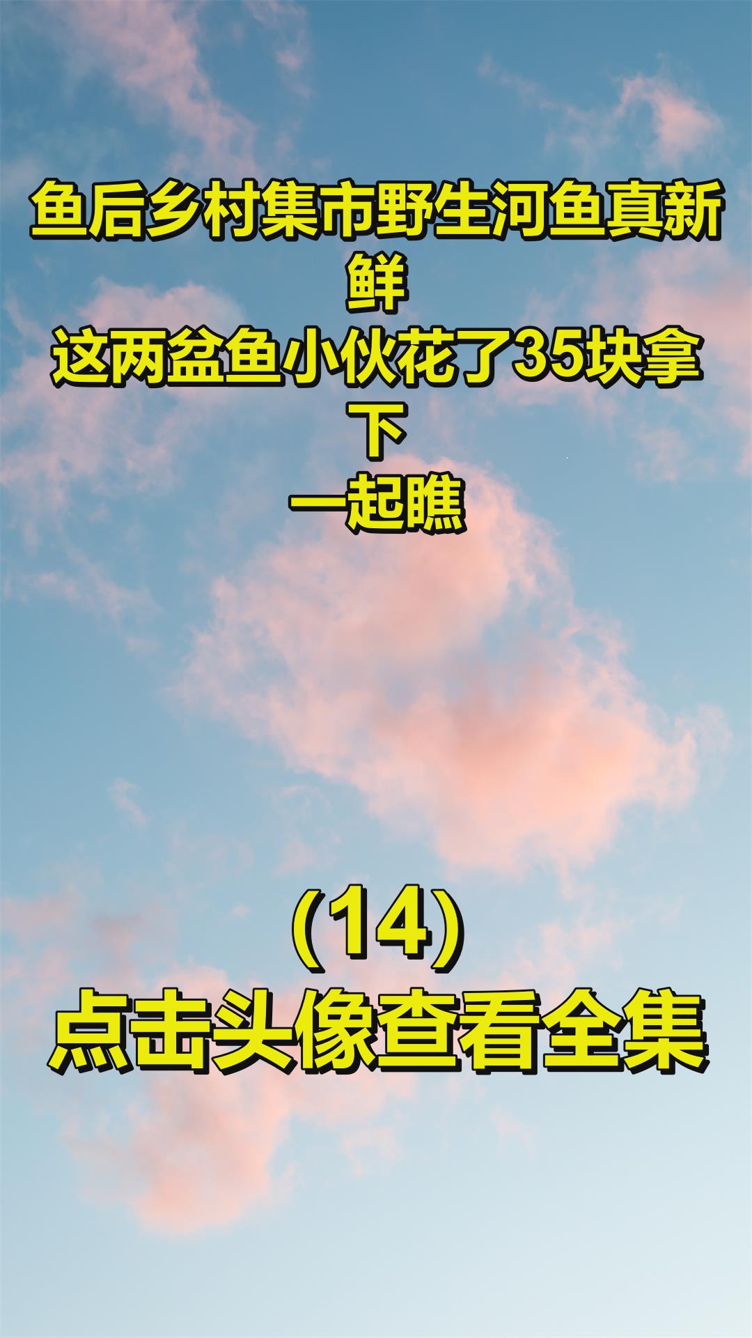 鱼后乡村集市野生河鱼真新鲜,这两盆鱼小伙花了35块拿下