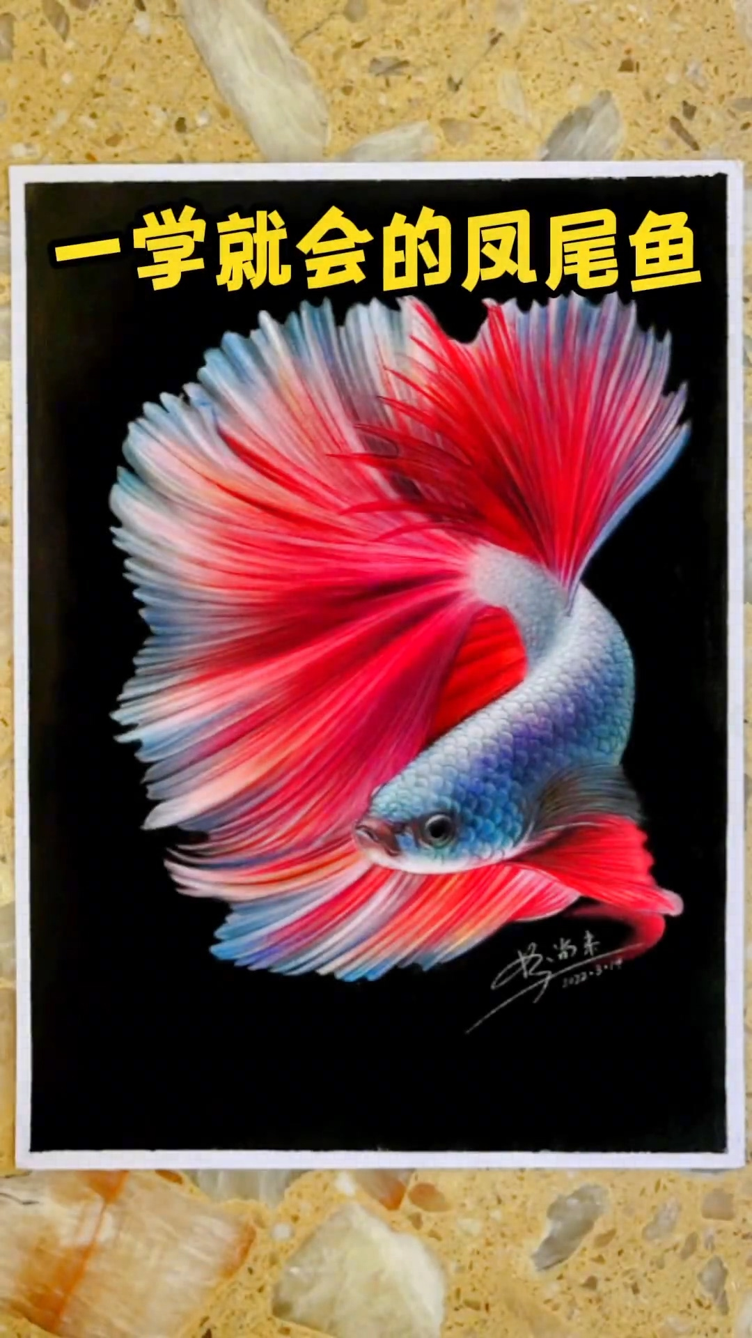 每日一画是不是很简单