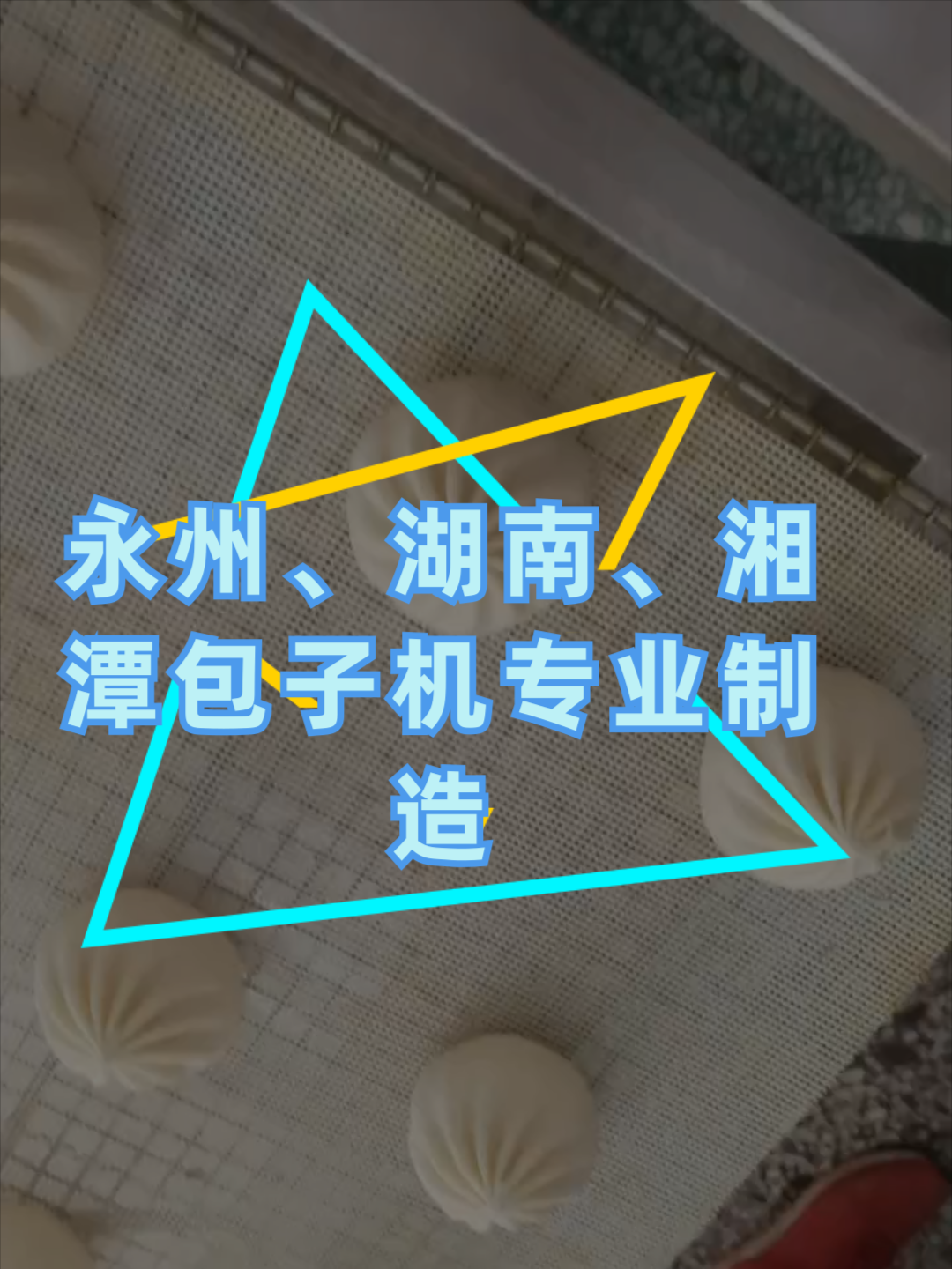 包子机厂家 永州全自动包子机 湘潭全自动包子机