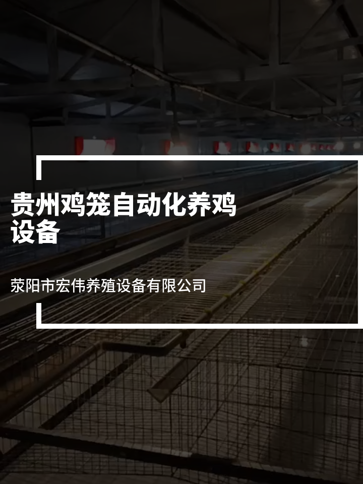 贵州鸡笼自动化养鸡设备 自动化养殖设备 层式鸡笼 层叠式养鸡
