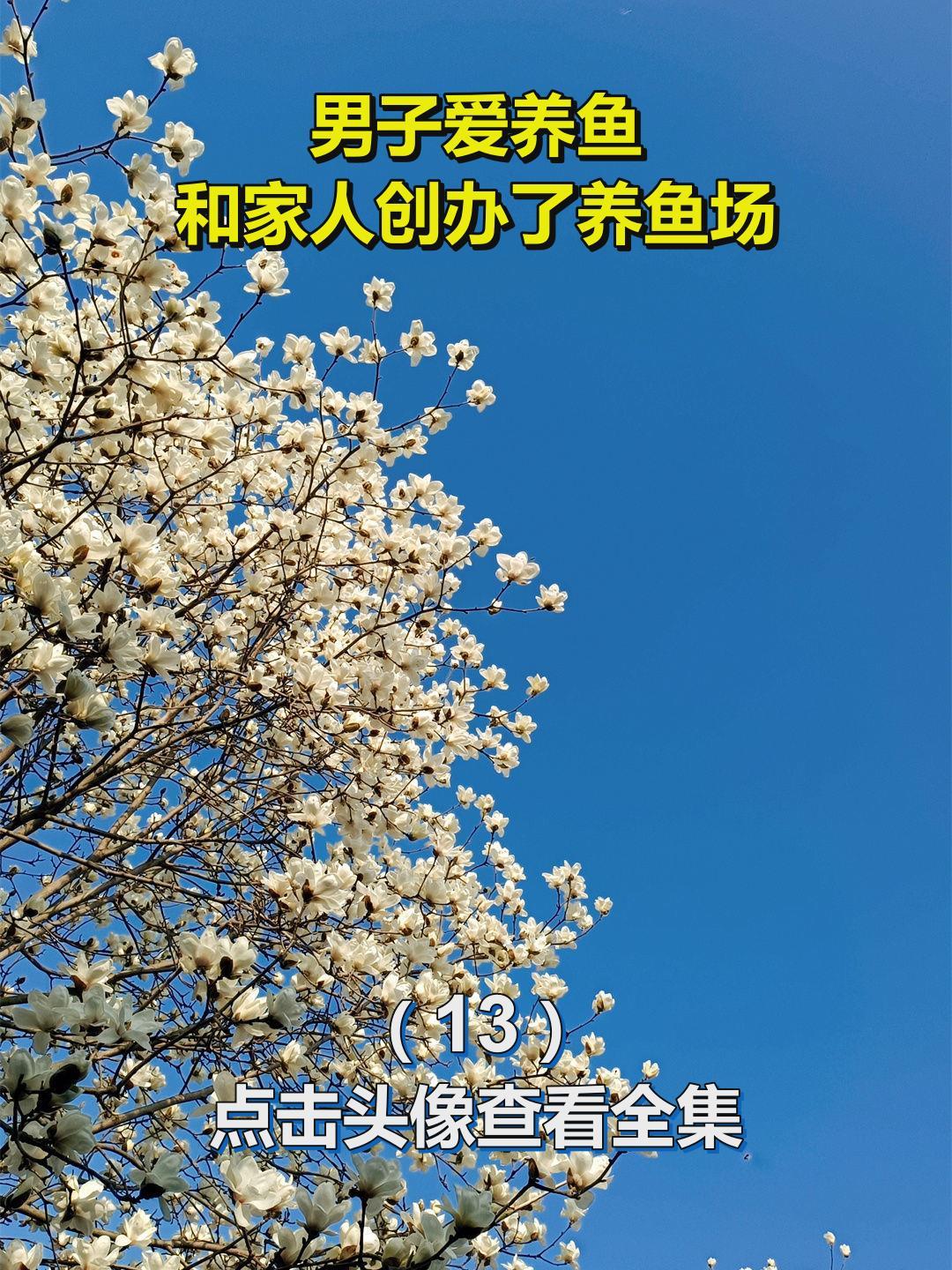 男子爱养鱼,和家人创办了养鱼场13