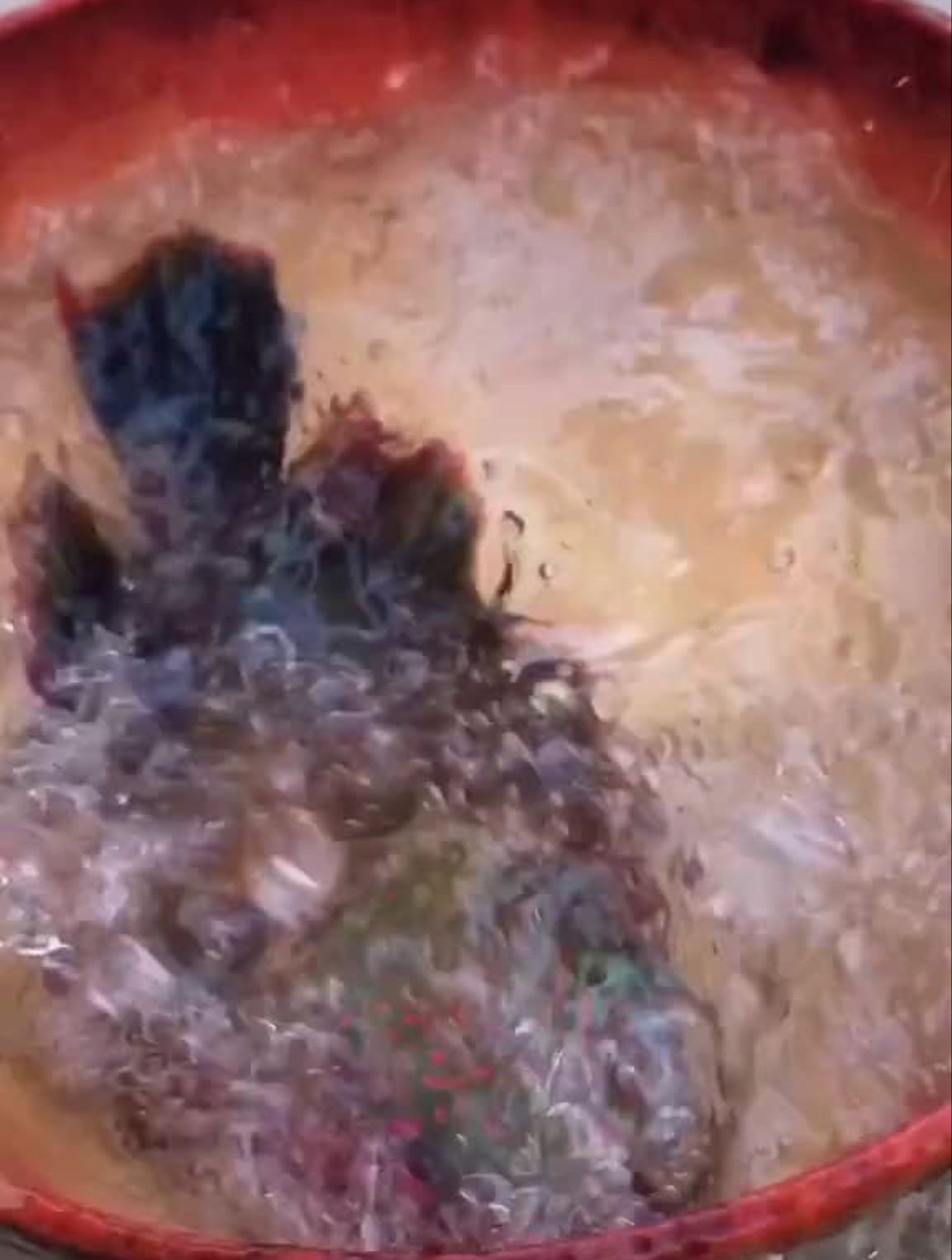 海边人的朴实生活彩眉鱼美食鱼的花式做法