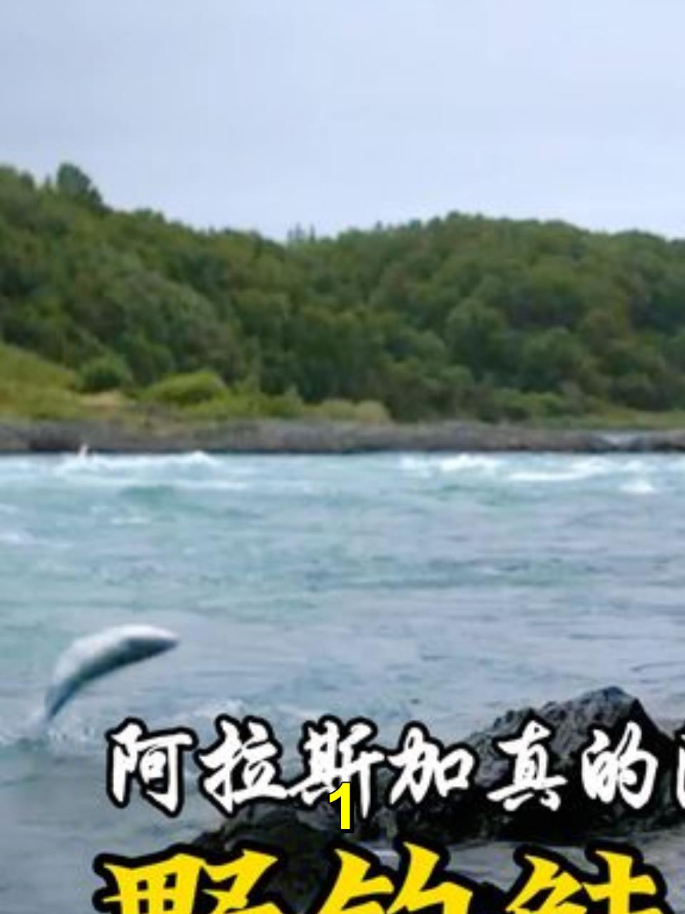 零度以下:阿拉斯加三文鱼随处可见