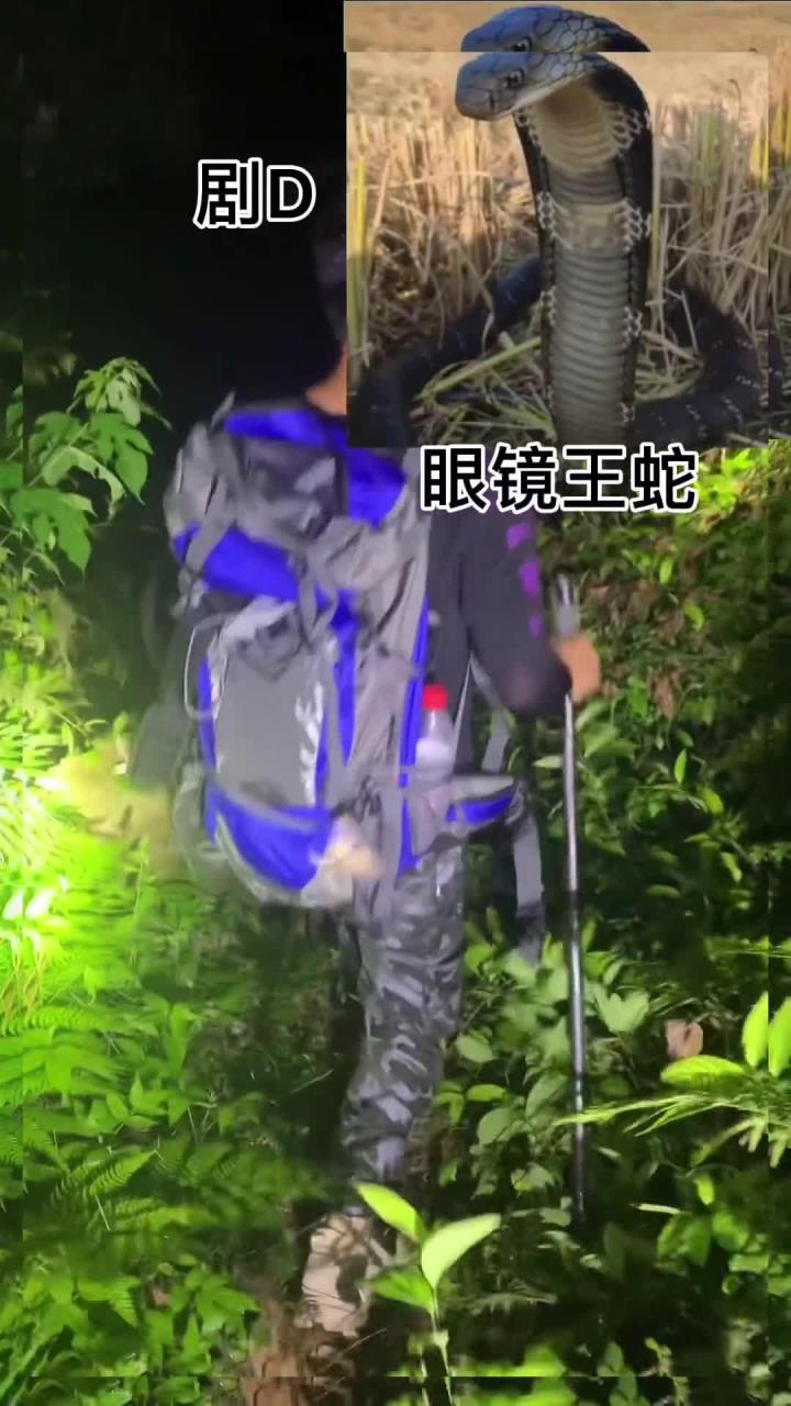 你们老家这些的俗称叫什么,现在知道它们的学名了吧