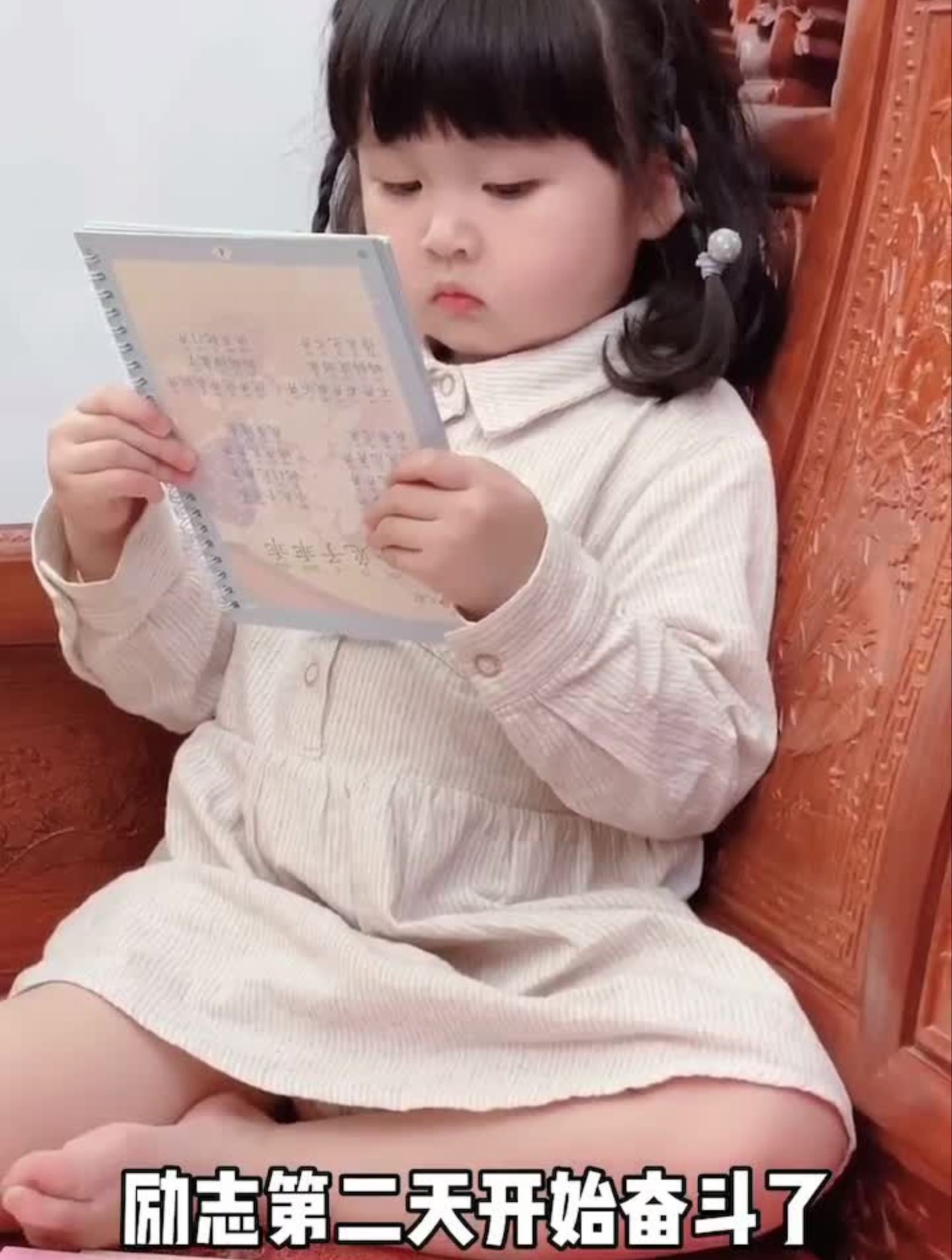 白天的你鹅鹅鹅表情包暴发户