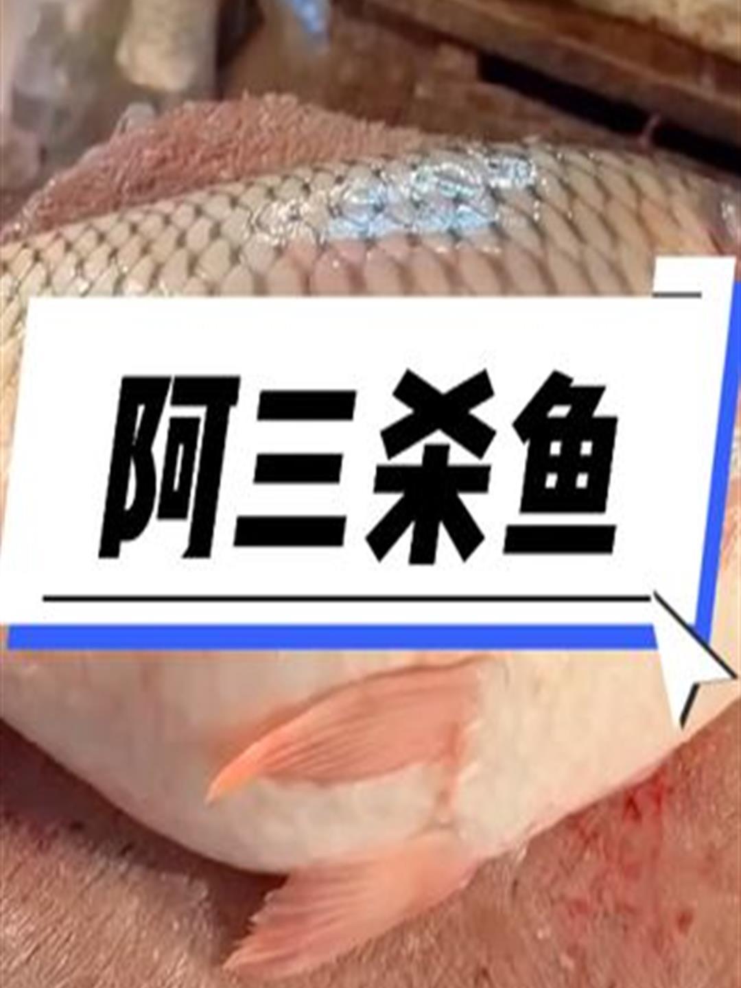 宰杀一条恒河大鲤鱼,手法非常独特,过程解压又过瘾1