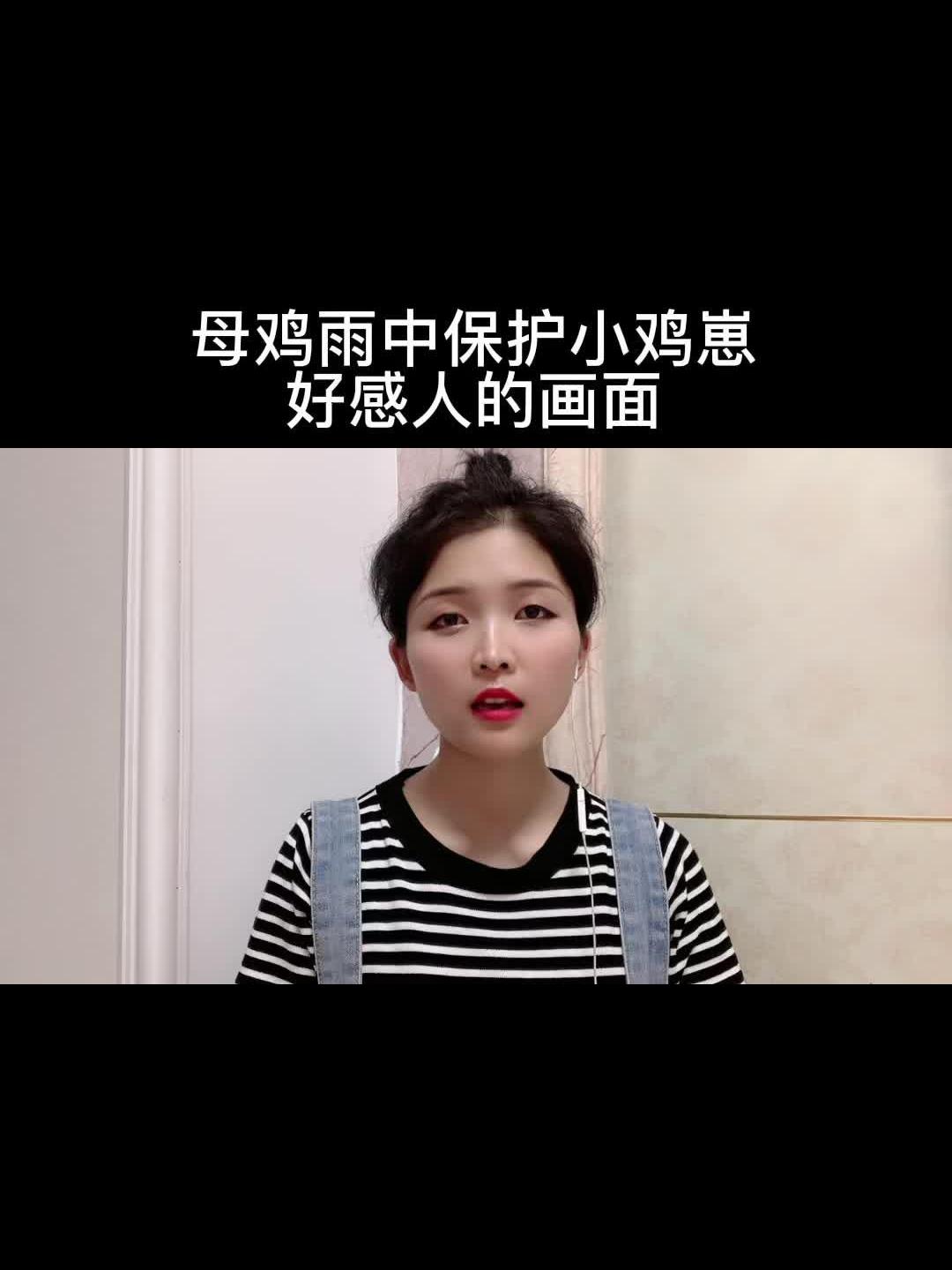 母鸡雨中保护小鸡崽,好感人的画面!母爱伟大是无法用语言形容的