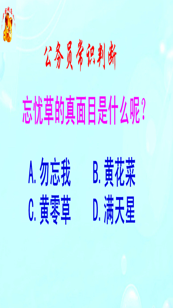 公务员常识判断,忘忧草的学名叫什么呢?长见识啦