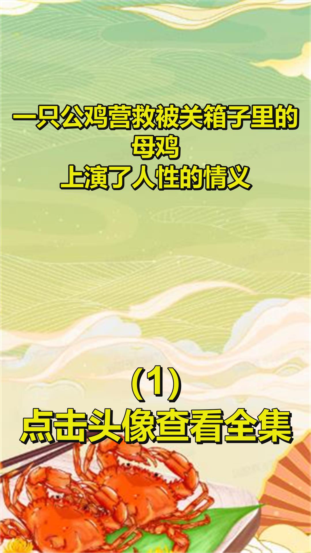 一只公鸡营救被关箱子里的母鸡,上演了人性的情义1
