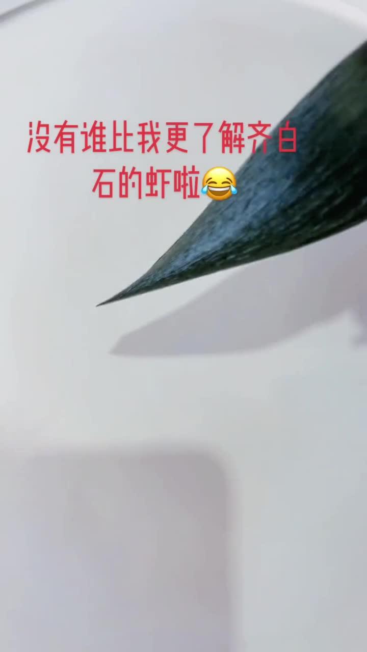 没有谁比我更了解齐白石虾的画法