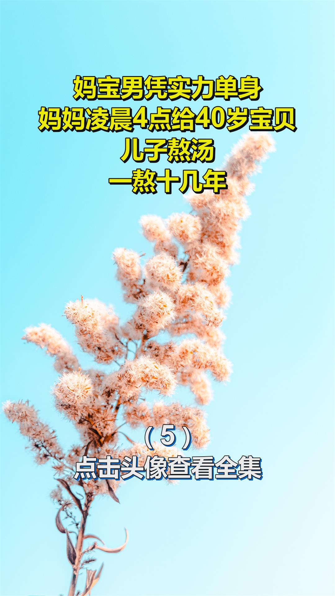 妈宝男凭实力单身,妈妈凌晨4点给40岁宝贝儿子熬汤,一熬十几年5