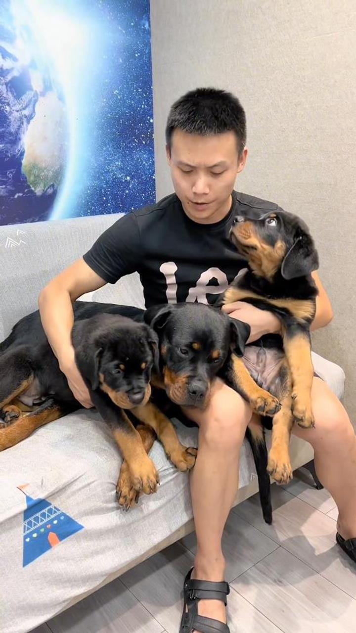 果然春天一过 小幺鸡嫌弃的看都不想看坨一眼