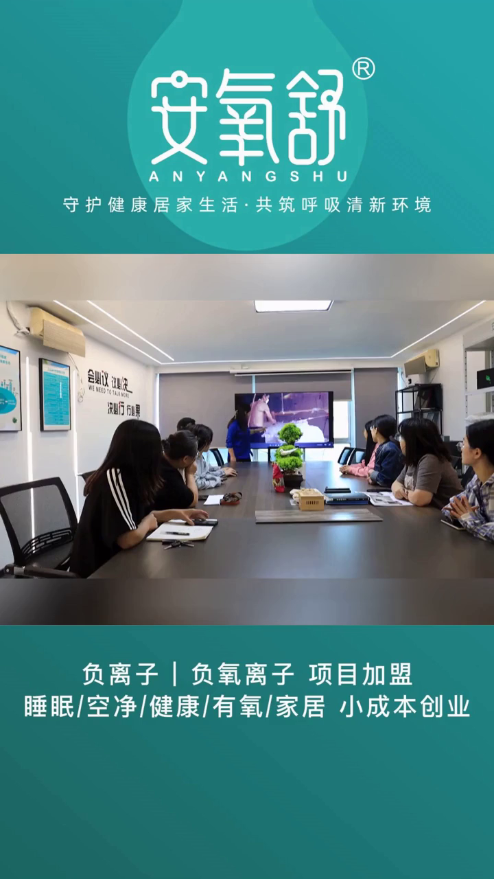 随州电离负氧离子氧疗仪 华中有氧枕 苏州空气净化器项目