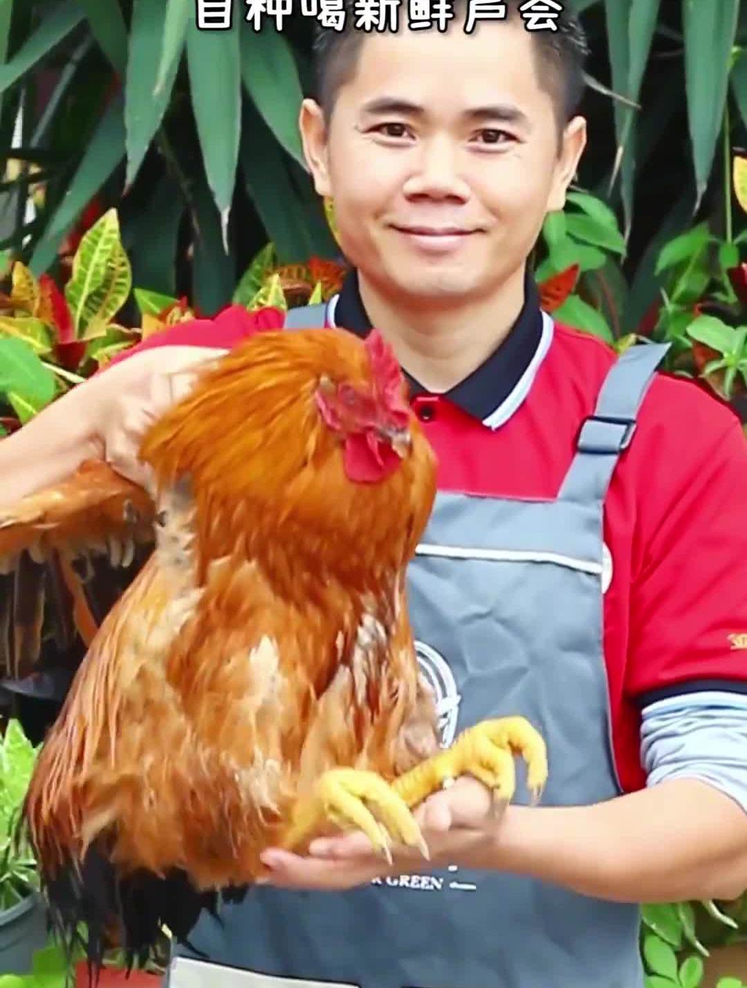 这家藏匿在江边的特色农庄,人均40+吃芦荟木瓜