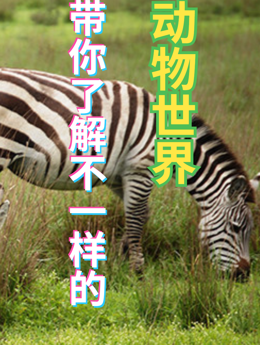 吸血的大水蛭,遇到嗜血的食人鱼,结果会怎样呢(5)